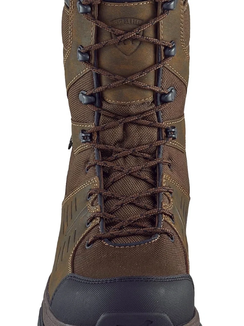 Irish Setter Terrain 10